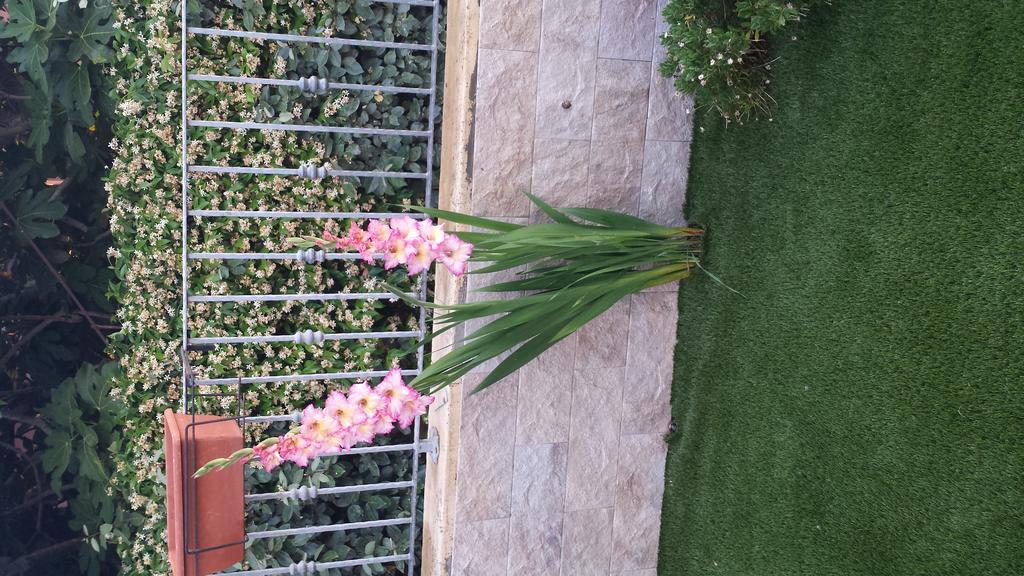 Casa Con Giardino Villa Olbia Luaran gambar